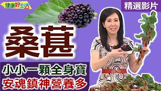 【健康好生活 超精彩回顧】小小「桑葚」全身寶！安魂鎮神營養多 ///  桑葚清涼飲+桑葚豬里肌肉排  桑根首烏枸杞雞湯+桑葚優格蔬果  桑葚肉捲