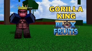 Where To Find Gorillas and Gorilla King in Blox Fruits | Gorilla King Location | First Sea