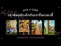 Pick a Card เขาคิดอย่างไรกับเราอยู่ในตอนนี้ | Hui Mayflower