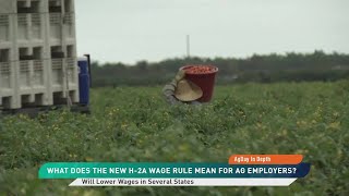 New H-2A Wage Rule Could Cut Labor Costs and Grocery Store Inflation