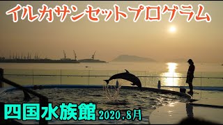 【四国水族館】イルカサンセットプログラム(2020.08)