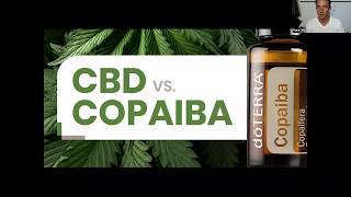 CBD vs Copaiba