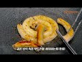 소 곱창 굽는 법 대 공개 먹방 어렵지 않아요 how to grill gopchang let s eat at home