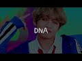 BTS DNA (speed up + reverb)