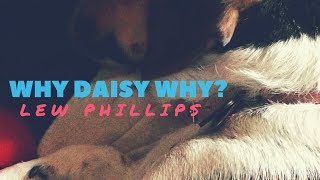 Lew Phillips - Why Daisy Why? (Official Music Video)