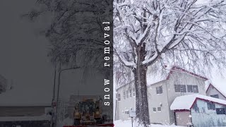 【除排雪2022-2023】倒してはいけないラスボス！？巨木の周りを除雪！