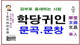 학당귀인 문곡귀인 문창귀인 편임니다 - 천을귀인 도화살 백호살 과강살  공부의 신 사대문 일류대학  수재 sky 대학 법복 검사 판사 출세의 별 -정시의 사주명리 111강 입니다.