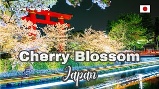 JAPAN CHERRY BLOSSOM Season Explore / The most beautiful sceneries / TT Travel Photography