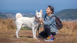 15km hiking in Jeju Island with a dog v-log