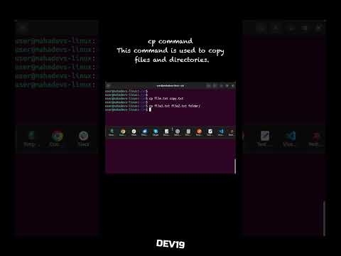 cp | Linux Commands #4 | #linux #programmer #coding #ubuntu #kali #cpp #terminal #developer #917