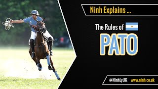 The Rules of Pato (Horseball) - EXPLAINED!