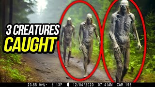 Shocking Trail Cam Footage That Revealed Their Existence
