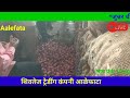 live कांदा लिलाव आळेफाटा पहा कसा काय भाव l onion market in aalefata l 26 जानेवारी 2025