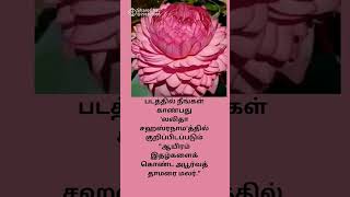 ஆயிரம் இதழ் மலர் #youtube #shords #youtubeshords #god #ஒருநிமிட ஆன்மீகம்