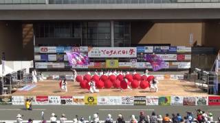 若狭踊り屋祭わ衆　御食国若狭おばまYOSAKOI祭2016