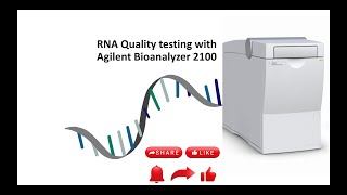 RNA quality testing with Agilent 2100 Bioanalyzer