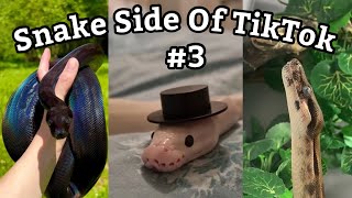 Snake Side Of TikTok #3