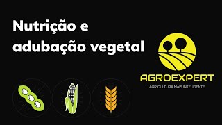 Nutrição e adubação vegetal Pt2: Macronutrientes na fisiologia vegetal e na ocorrência de doenças.