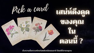 เสน่ห์ดึงดูดของคุณในตอนนี้ ?  ✨💖⭐️✨| Pick a card