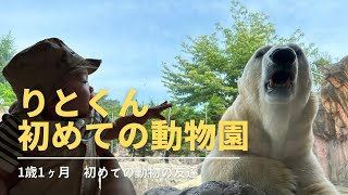 【生後1歳1ヶ月】初めての動物園