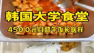 韩国大学食堂4500元自助午饭长啥样？今天好像没啥肉？那也吃饱啦，放心吧！