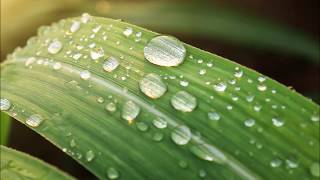 轻音乐，雨之歌