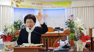 부르짖고 회개하라. 우상숭배의 죄악에서 떠나지않으면.(예레미야 7:29-34,8:1-3 ) 25.01.30.새벽 미라클교회문화선교(탐심의 죄악은 우상숭배.거짓과 위선을 버려야산다)