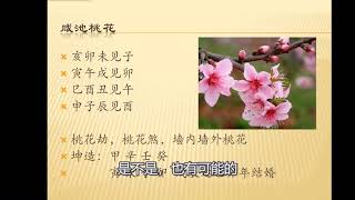 糖木鱼八字命理之桃花，红艳，天禧，红鸾