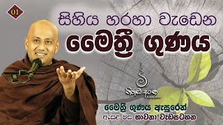 සිහිය හරහා වැඩෙන මෛත්‍රී ගුණය - Ven Aluthgamgoda Gnanaweera Thero | නිහඬ අරණ