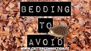 Hedgehog bedding to AVOID