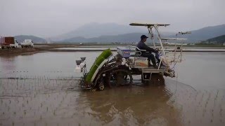 筑波農場の常陸小田米コシヒカリ田植え