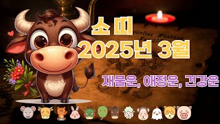 🔥 2025년 3월 소띠 운세! 기회와 위기의 갈림길?!