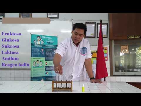 PRAKTIKUM UJI KARBOHIDRAT - YouTube