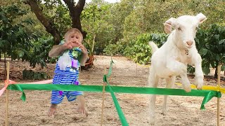 Obstacle Challenge Monkey CUTIS vs Baby GOAT