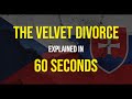 Why did CZECHOSLOVAKIA break up? (The Velvet Divroce) - HISTORY EXPLAINED IN 60 SECONDS.