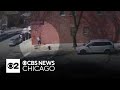 COPA releases video of Chicago Police officer shooting, killing dog