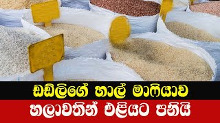 ඩඩ්ලිගේ හාල් මාෆියාව හලාවතින් එලියට පනියි  |Rice Problem|