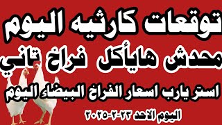 اسعار الفراخ البيضاء اليوم سعر الفراخ البيضاء اليوم الاحد ٢٣-٢-٢٠٢٥ في المحلات في مصر