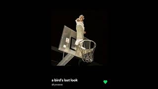 A bird's last look. The complete song.