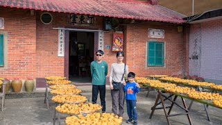 Taiwan Xinpu Persimmon Festival