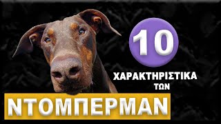 ΝΤΟΜΠΕΡΜΑΝ - 10 Χαρακτηριστικά των Doberman!