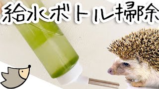 給水ボトルの洗い方！その①砂を入れて振ればきれいになるよ！