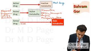 7. Drug metabolism overview and Prodrugs