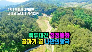 (가격인하) 봉화토지 봉화주택매매, 한골짜기 전부 나만의왕국, 소나무숲 둘러싸인 골짜기끝외진땅 전원주택, 백두대간 우사 흑염소농장 및 사과과수원 산채농장 태양광, 봉화-2421