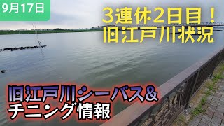 シルバーウィーク2日目!旧江戸川シーバス情報、人？水温？濁り？