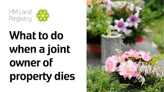 What to do when a joint proprietor dies
