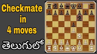 How to checkmate in 4 moves telugu | How to checkmate in 4 steps in telugu | Chess tricks in telugu