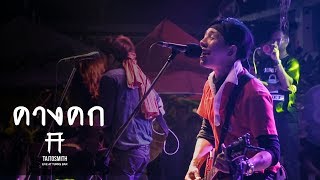 คางคก - Taitosmith (Live at Turks Bar)