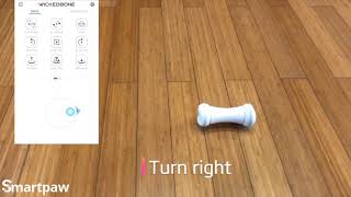 Wickedbone - Smart & Interactive Dog Chewing Toy How To Control Video