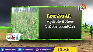 ఇజ్రాయిల్ టెక్నాలజీ‎తో .. గులాబీ పూల సాగు  | Rose Flowers Cultivation | Matti Manishi | 10TV